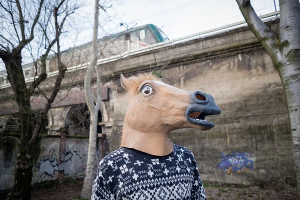 馬仮面の男」 — ストック写真