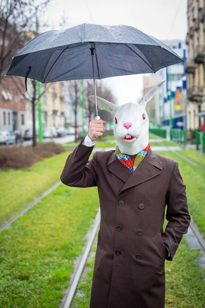 Man in rabbit mask — Stock Photo, Image