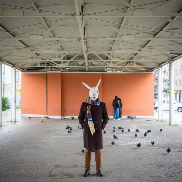 Tavşan maskeli adam — Stok fotoğraf