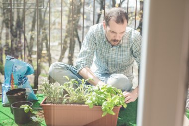 şık yakışıklı Bahçe