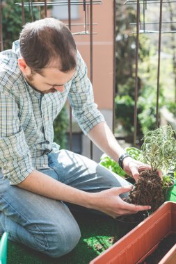 şık yakışıklı Bahçe