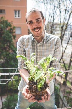 fesleğen bitki tutan adam