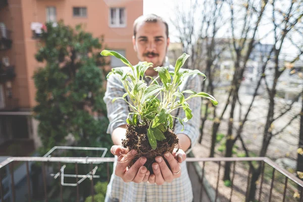 Hombre sosteniendo planta de albahaca — Foto de Stock