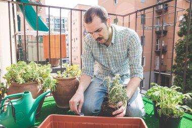 şık yakışıklı Bahçe