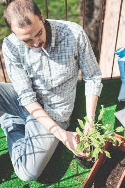 şık yakışıklı Bahçe