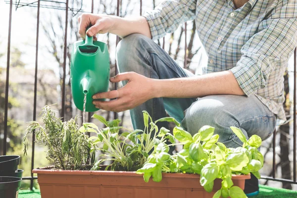 Handsome stylish man gardening and watering — Stock Photo, Image