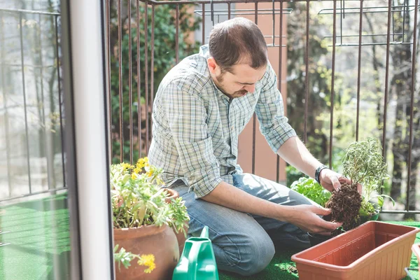 Guapo elegante hombre jardinería —  Fotos de Stock