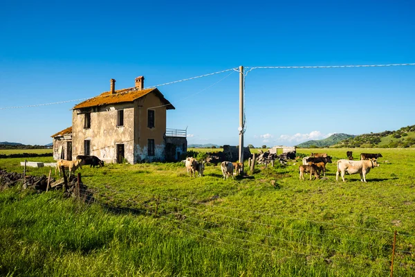 Stock image sardinian nuraghe natural landscape