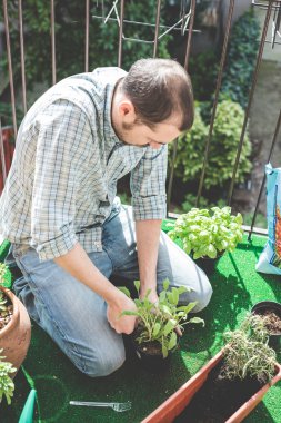 şık yakışıklı Bahçe