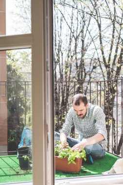 şık yakışıklı Bahçe