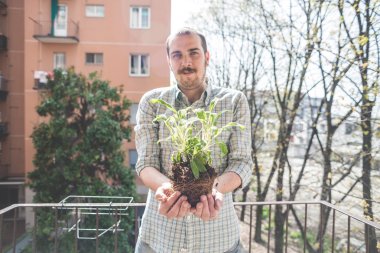 şık yakışıklı fesleğen bitki holding