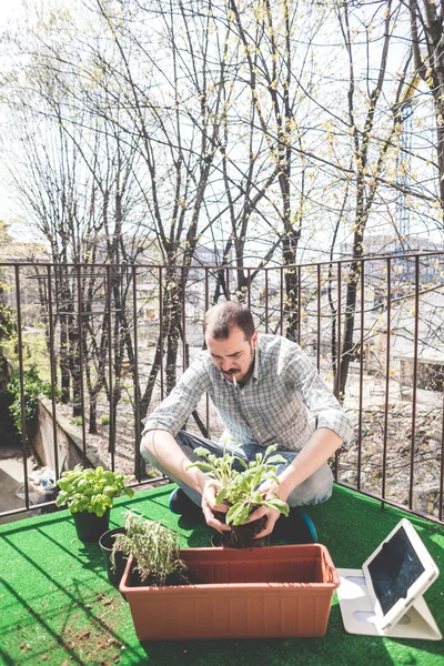 şık yakışıklı Bahçe