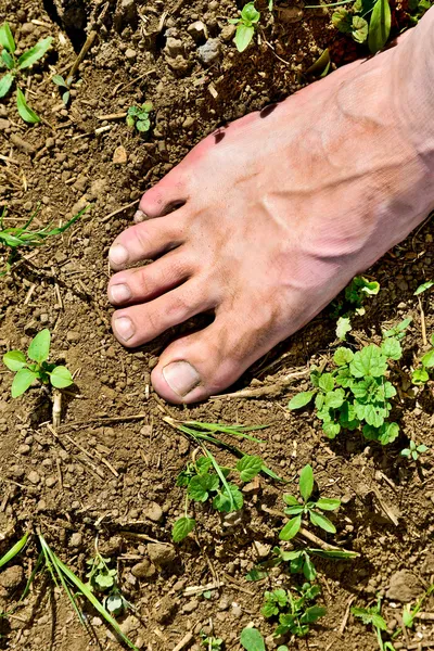 Uomo dei piedi — Foto Stock