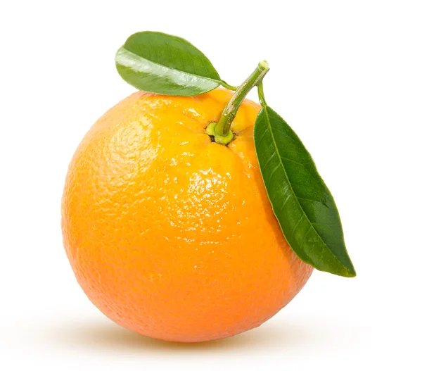 Naranja — Foto de Stock