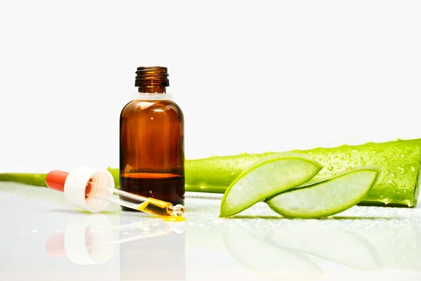 Aloe vera — Stock Photo, Image