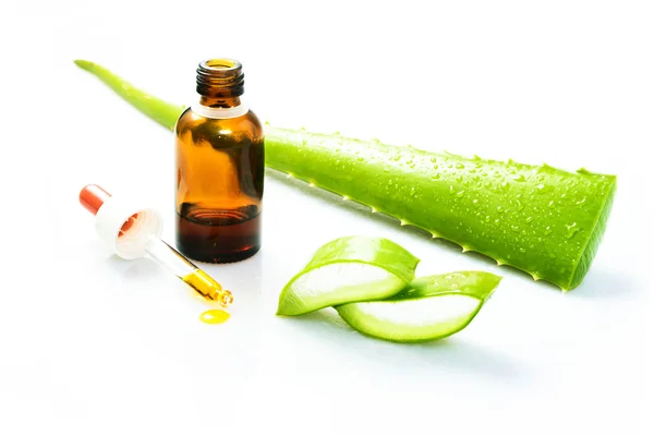 Aloe vera — Stock Photo, Image