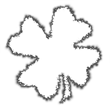 Shamrock parşömen yanmış