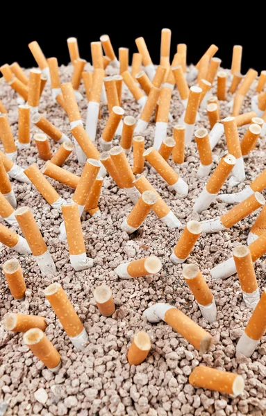 Cigarettes chaos vertical — Stock Photo, Image
