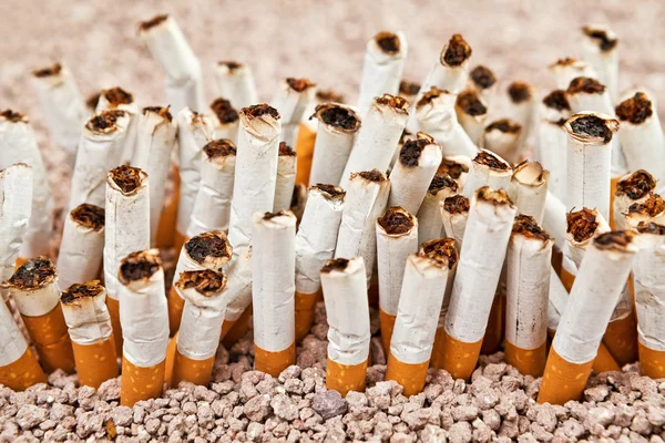 Vägg av cigaretter — Stockfoto