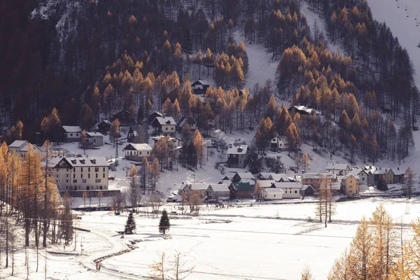 Маленькая Альпийская Деревня Альпе Деверо Покрытая Снегом Коричневыми Лиственницами Зимой Стоковая Картинка