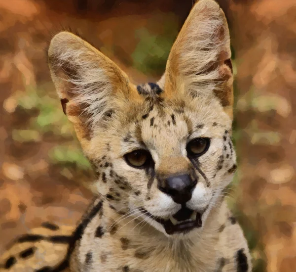 Serval African Wild Cat Pintura de retrato —  Fotos de Stock