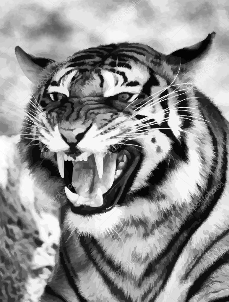 Angry Face Tiger B&W Vector