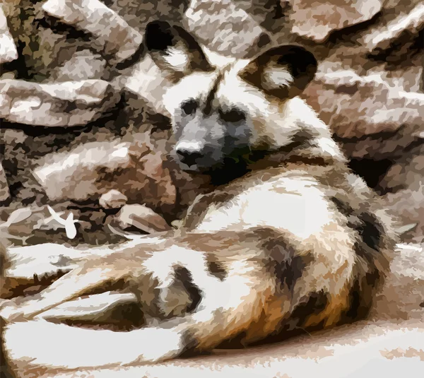 Vektör resim koca kulaklı'deki Afrika yaban köpeği — Stok Vektör