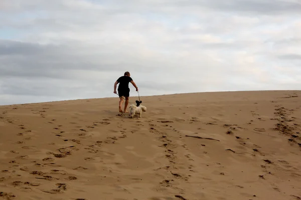 Ragazzo che cammina cani fino duna — Foto Stock