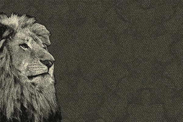 3D Sepia Toned Isolated Lion Face Card Stock Photo
