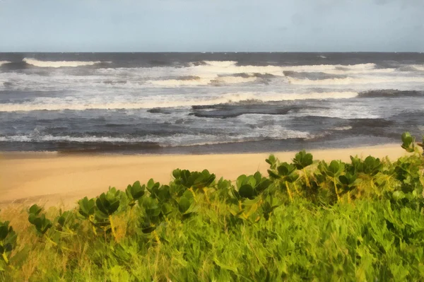 Painting Coastal Succulents and Sea — Stock Photo, Image