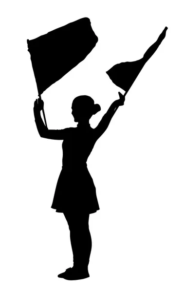 Drum Majorettes Waving Flags Line Girl — Stock Vector