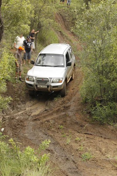 Gümüş mitsubishi pajero gls v6 — Stok fotoğraf