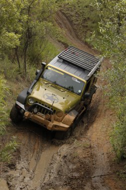Gecko yeşil inci jeep wrangler rubicon