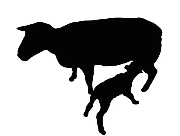 Silhouette di Pecora con Agnello Allattatore — Vettoriale Stock