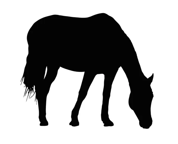 Portrait Silhouette of Large Horse Grazing — Stock Vector