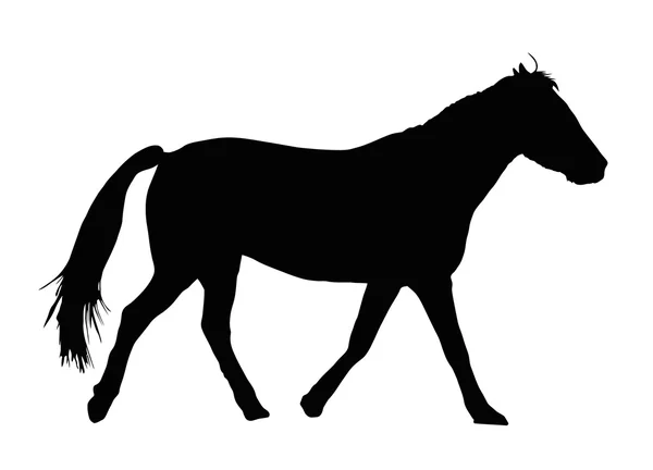 Portrait Silhouette of Large Horse Galloping — Stock Vector