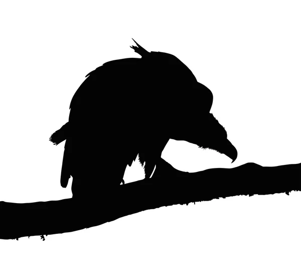 Portrait Silhouette of Large Vulture on Branch — Stock Vector