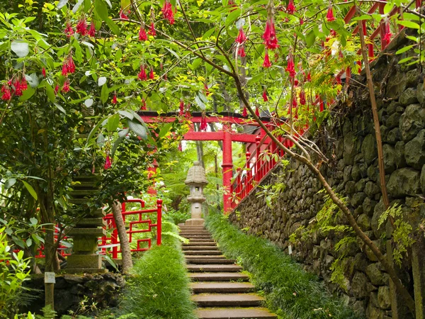 Orientalischer Garten — Stockfoto