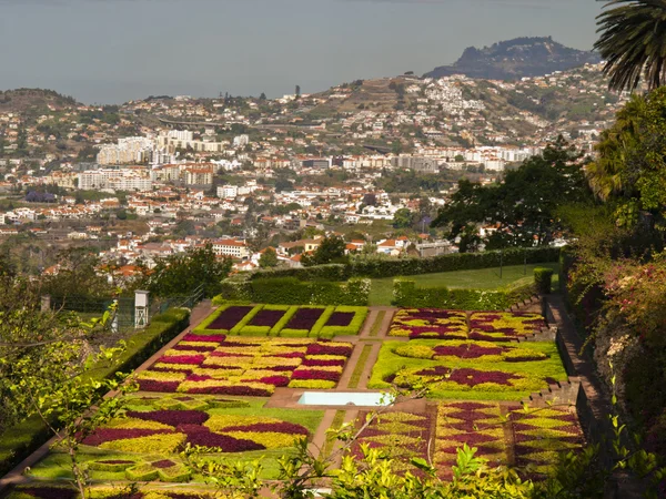 Orto botanico — Foto Stock