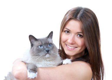 Kadını tutun mavi gözlü çok güzel ragdoll kedisi