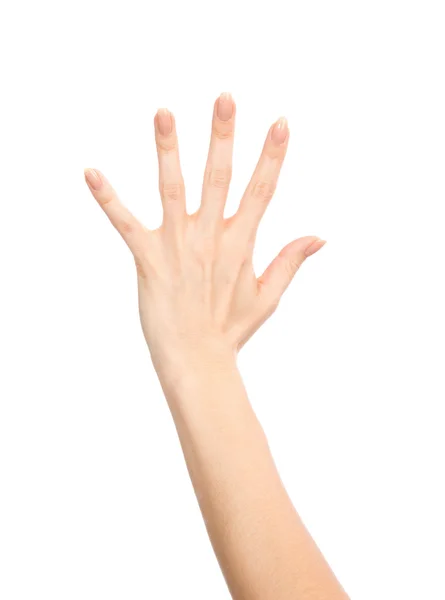 Manicured female hand gesture number five fingers up — Stock Photo, Image