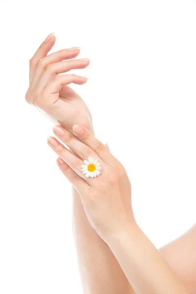Woman hands french manicure with chamomile daisy flowers — Stock Photo, Image