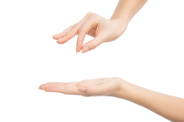 Γυναίκα χέρια κρατήστε σημάδι εικονική επαγγελματική κάρτα και ανοίξτε την παλάμη — Φωτογραφία Αρχείου