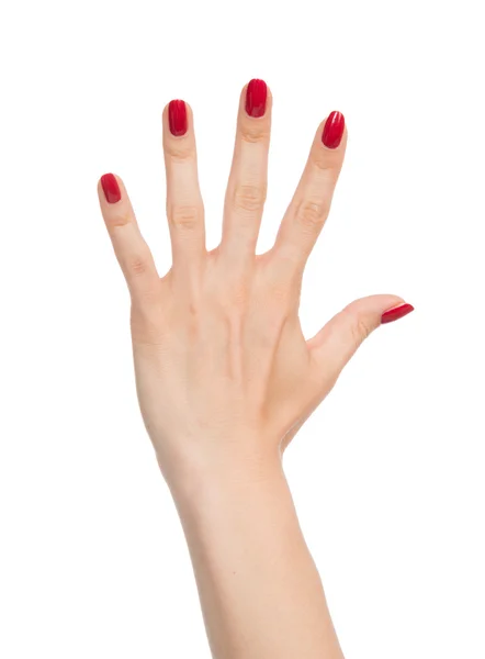 Відкрита рука жест номер п'ять пальців вгору — стокове фото