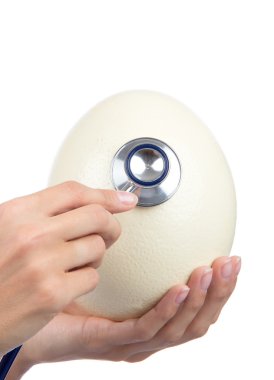 büyük büyük devekuşu yumurta auscultating