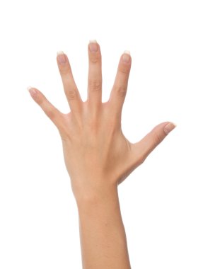 El hareketi ben'deki sayı beş parmak