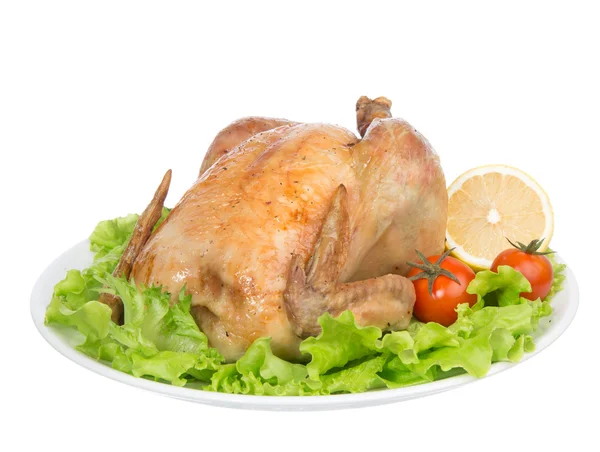 Garnished roasted thanksgiving chicken — Stock Photo, Image