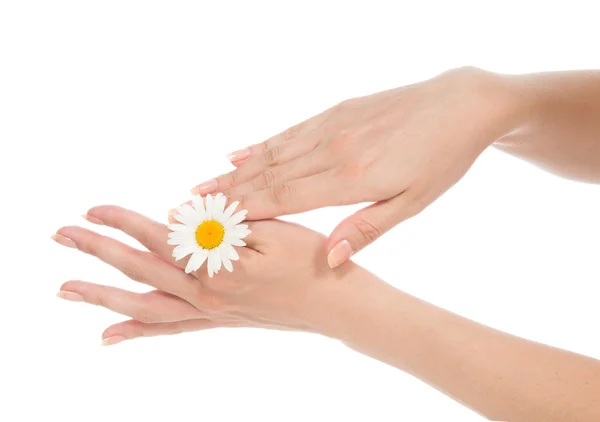 Schöne Frau Hände Französisch Maniküre mit Kamille Gänseblümchen Blume — Stockfoto