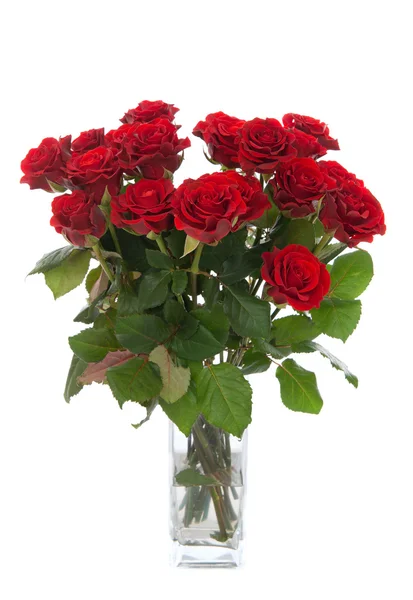 分離された花瓶に赤いバラの花束 — ストック写真