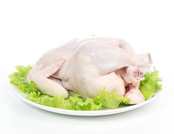 Poulet brut frais dans une assiette garnie — Photo